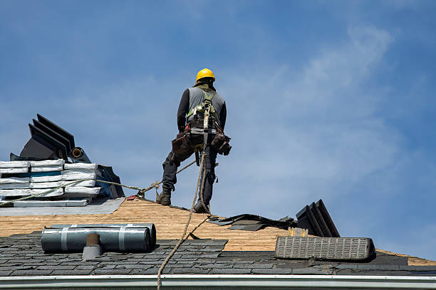 Professional Storm Damage Roof Repair technician working in Woodbine, IA